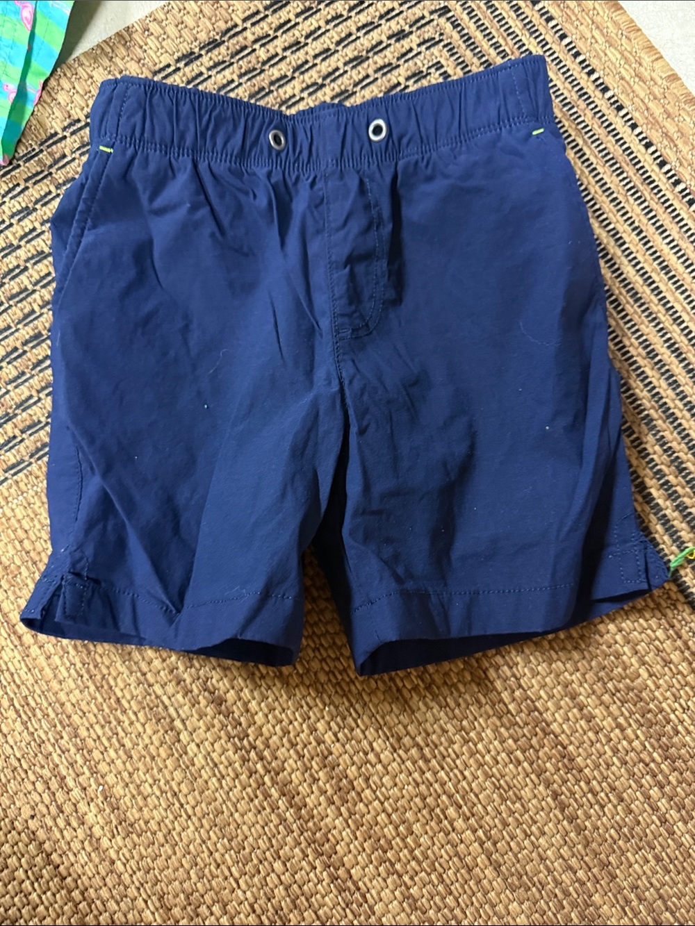 Crewcuts Toddler Navy Swim Trunks